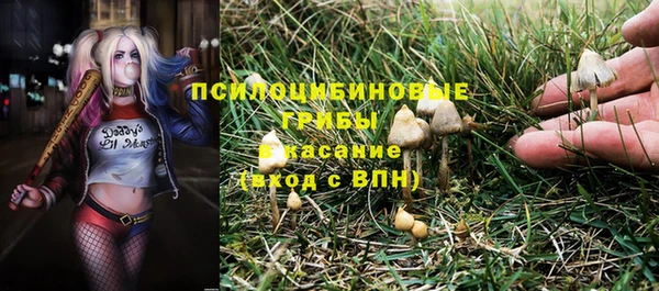 MDMA Гусев