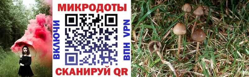 Псилоцибиновые грибы ЛСД  Купить закладки  Любим 